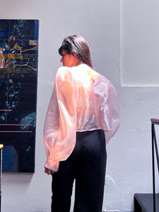 Carina Organza Blouse