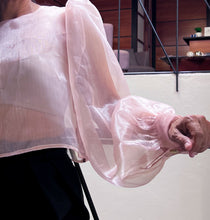Carina Organza Blouse